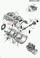 420890229 Картер Ski-Doo 600 E-TEC 420890222
