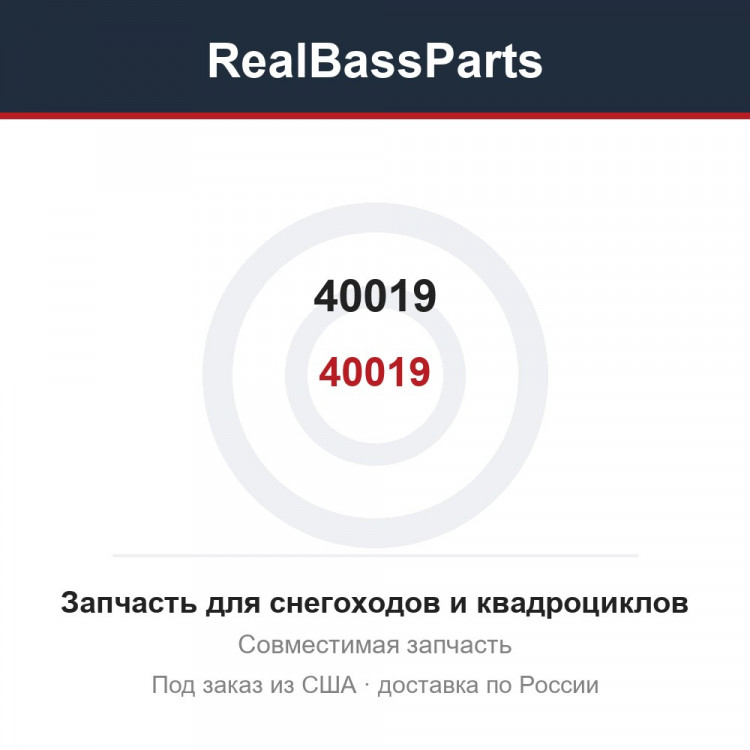 40019