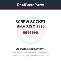 205951046 SCREW-SOCKET BN.HD.ISO.7380