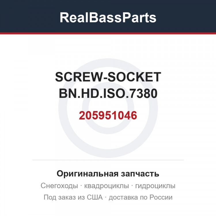 205951046 SCREW-SOCKET BN.HD.ISO.7380