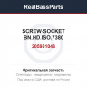 205951046 SCREW-SOCKET BN.HD.ISO.7380