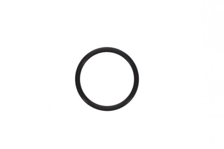 293300044 JOINT TORIQUE  *O-RING