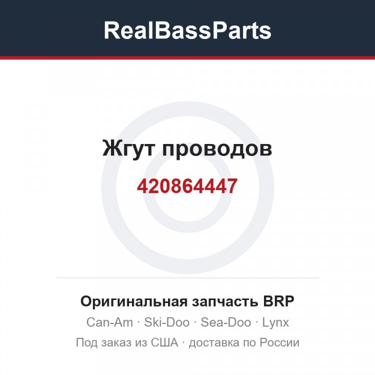 420864447 Жгут проводов