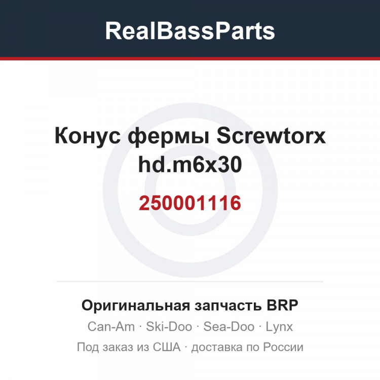 250001116 Конус фермы Screwtorx hd.m6x30