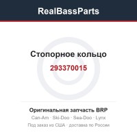293370015 Стопорное кольцо