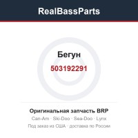 503192291 Бегун