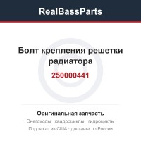 Болт крепления решетки радиатора 250000441
