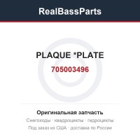 705003496 PLAQUE         *PLATE