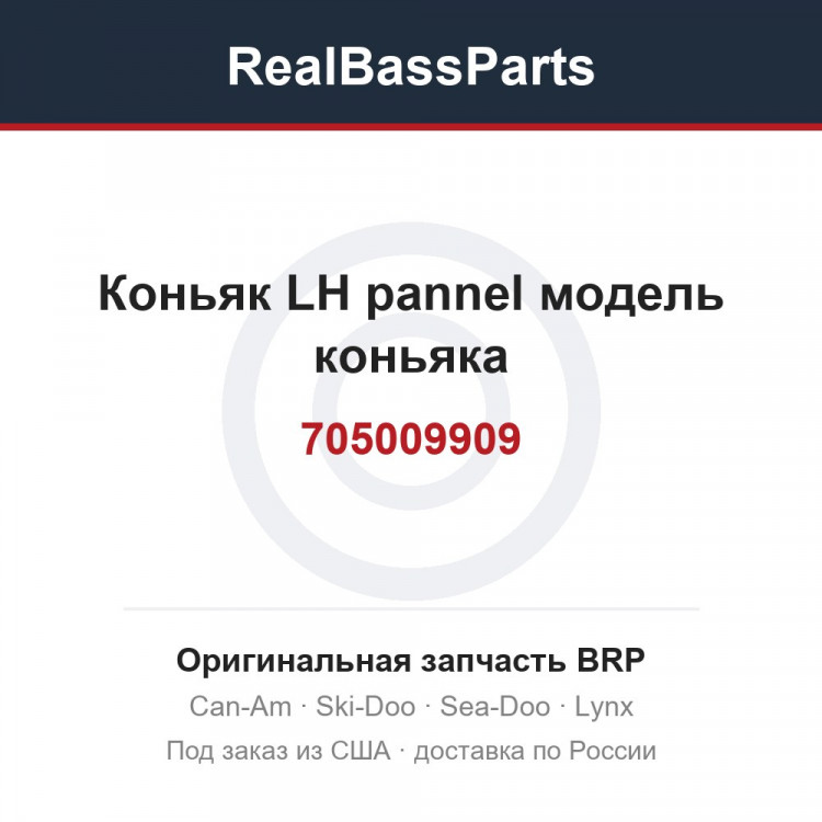 705009909 Коньяк LH pannel модель коньяка