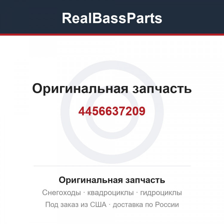 4456637209