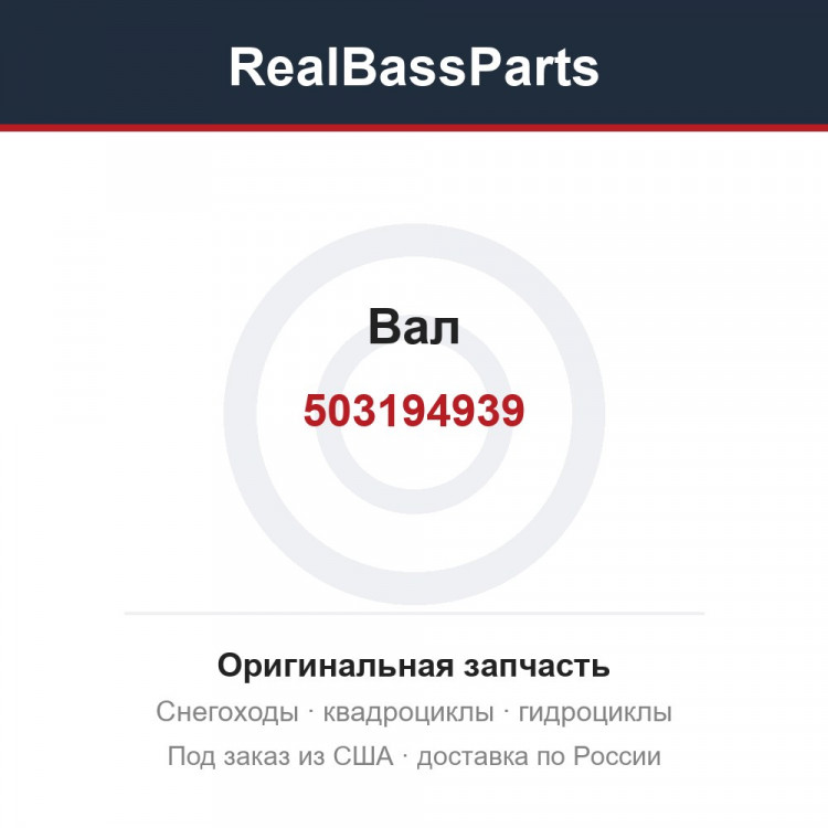 503194939 Вал