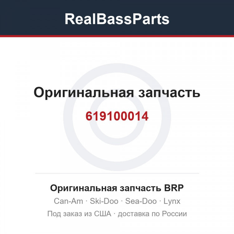 619100014