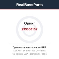 293300137 Оринг