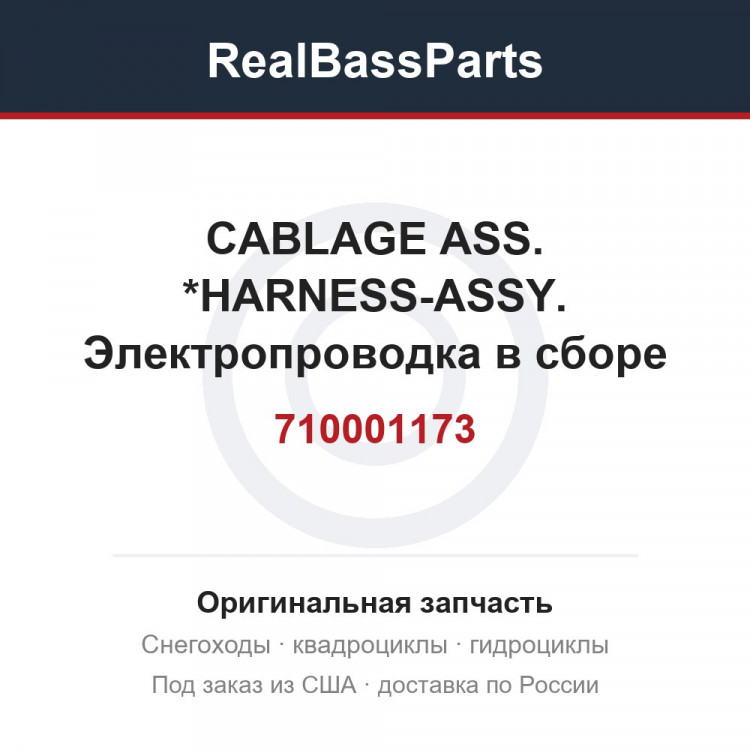 710001173 CABLAGE ASS.   *HARNESS-ASSY.  Электропроводка в сборе для квадроцикла