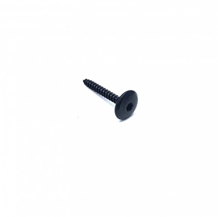250000840 Саморез TORX-SCREW TRUSS HEAD PT.K50 X 40