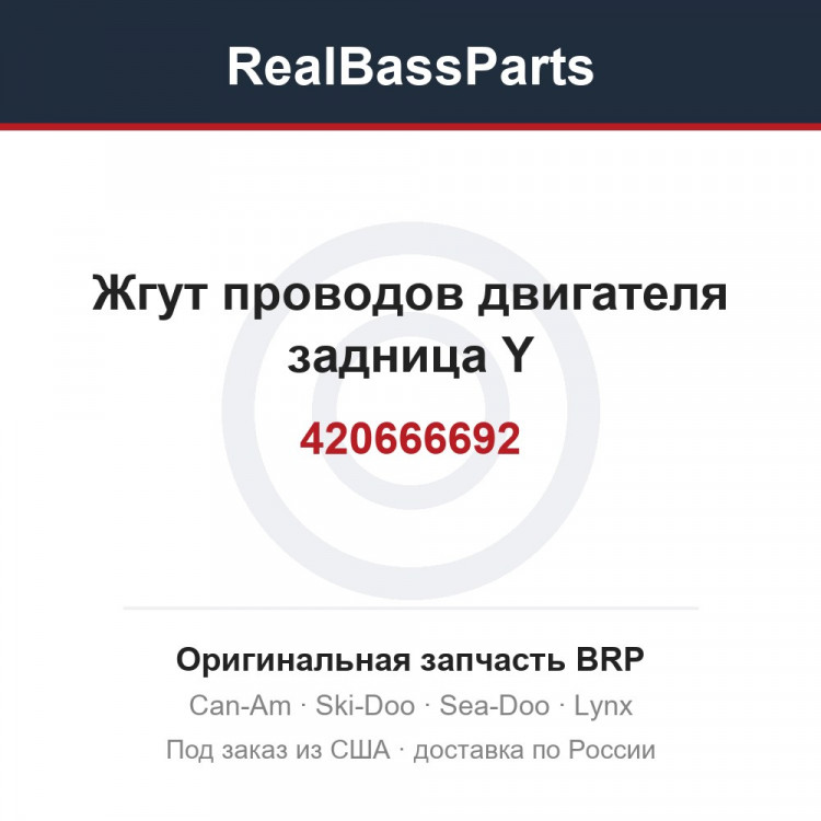 420666692 Жгут проводов двигателя задница Y