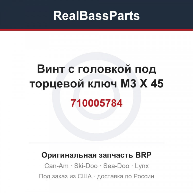 710005784 Винт с головкой под торцевой ключ M3 X 45