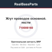 710006160 Жгут проводов основной. нкстм