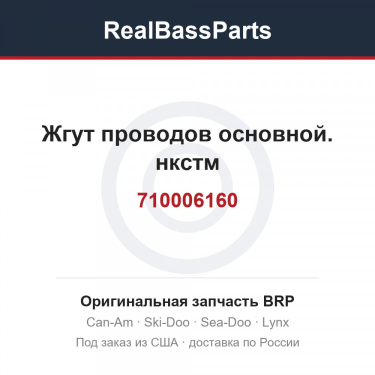 710006160 Жгут проводов основной. нкстм