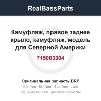 715003304 Камуфляж, правое заднее крыло, камуфляж, модель для Северной Америки