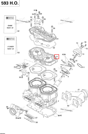 Головка цилиндра серебристый Ski-Doo 420613700