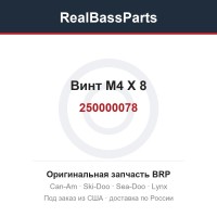 250000078 Винт M4 X 8
