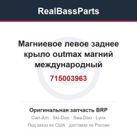 715003963 Магниевое левое заднее крыло outmax магний международный