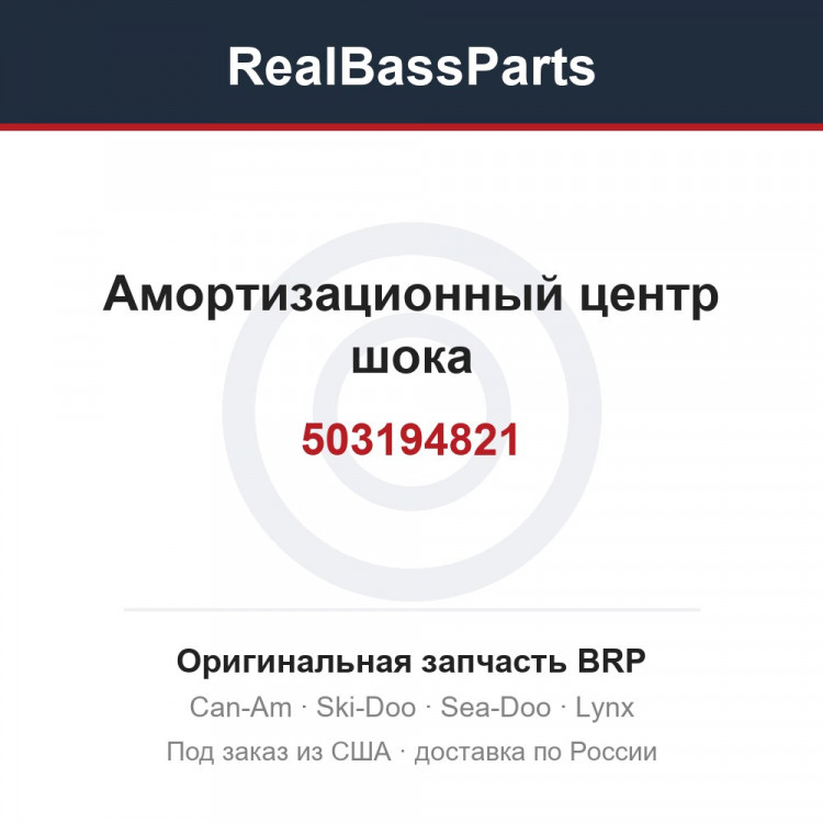 503194821 Амортизационный центр шока