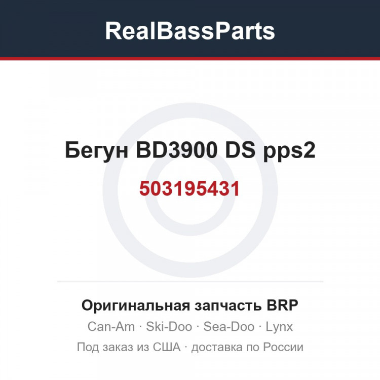 503195431 Бегун BD3900 DS pps2