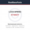 517305317 LOCK SPRING
