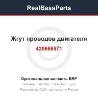 420666571 Жгут проводов двигателя