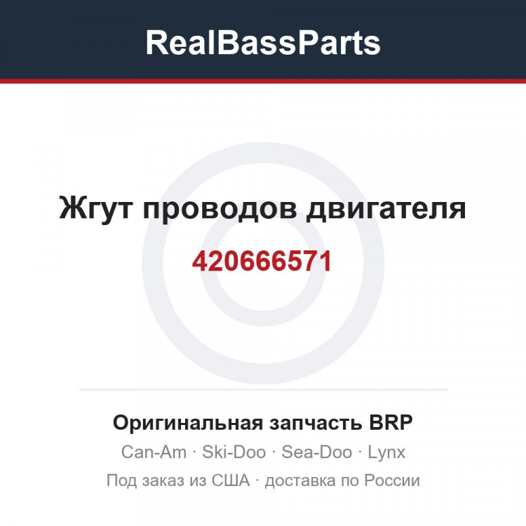 420666571 Жгут проводов двигателя