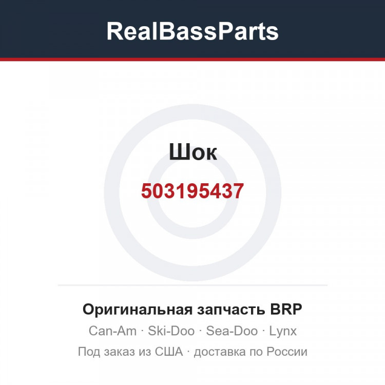 503195437 Шок