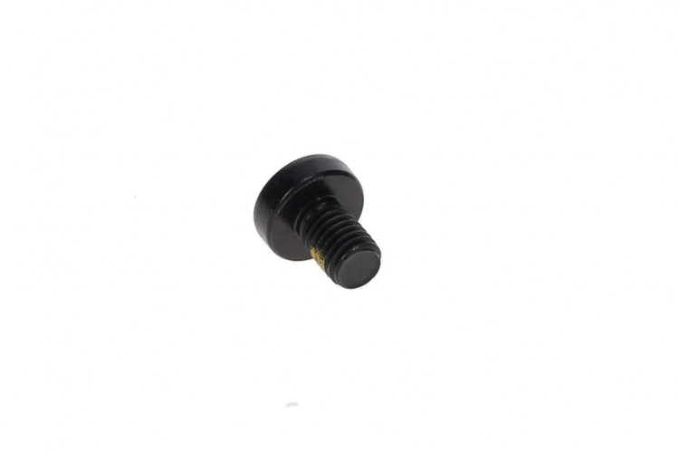 250000887 PAN HEAD TORX SCREW M8 X 12