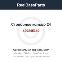 420245340 Стопорное кольцо 24