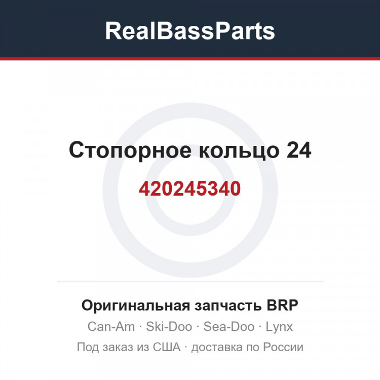 420245340 Стопорное кольцо 24