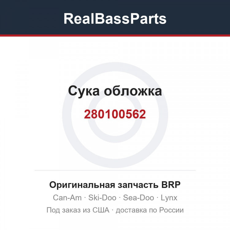 280100562 Сука обложка