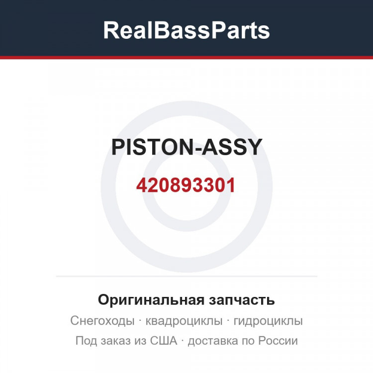 420893301 PISTON-ASSY
