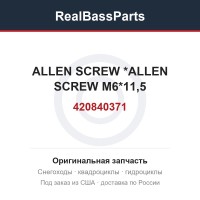420840371 ALLEN SCREW     *ALLEN SCREW M6*11,5