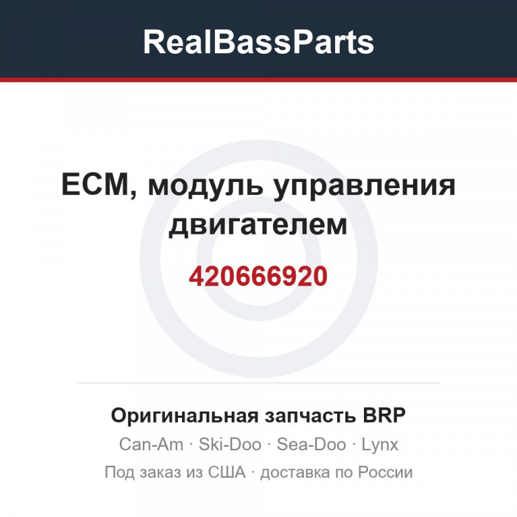 420666920 ЕСМ, модуль управления двигателем