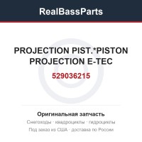 529036215 PROJECTION PIST.*PISTON PROJECTION E-TEC