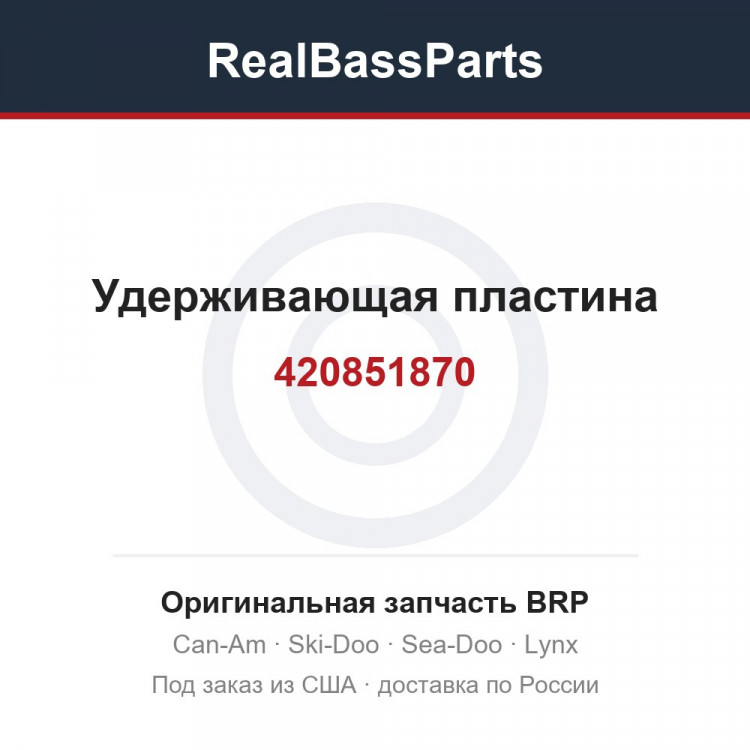 420851870 Удерживающая пластина