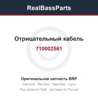 710002561 Отрицательный кабель