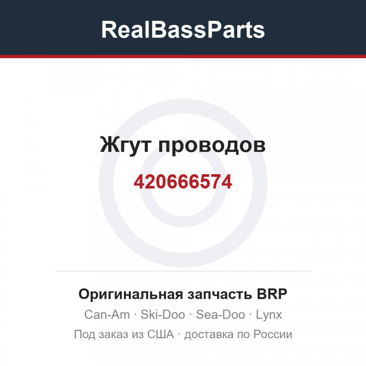 420666574 Жгут проводов