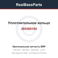 293300184 Уплотнительное кольцо