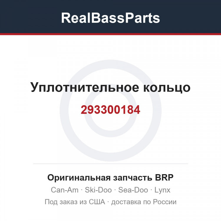 293300184 Уплотнительное кольцо