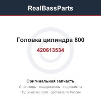 420613534 Головка цилиндра 800 420623063, 420623067
