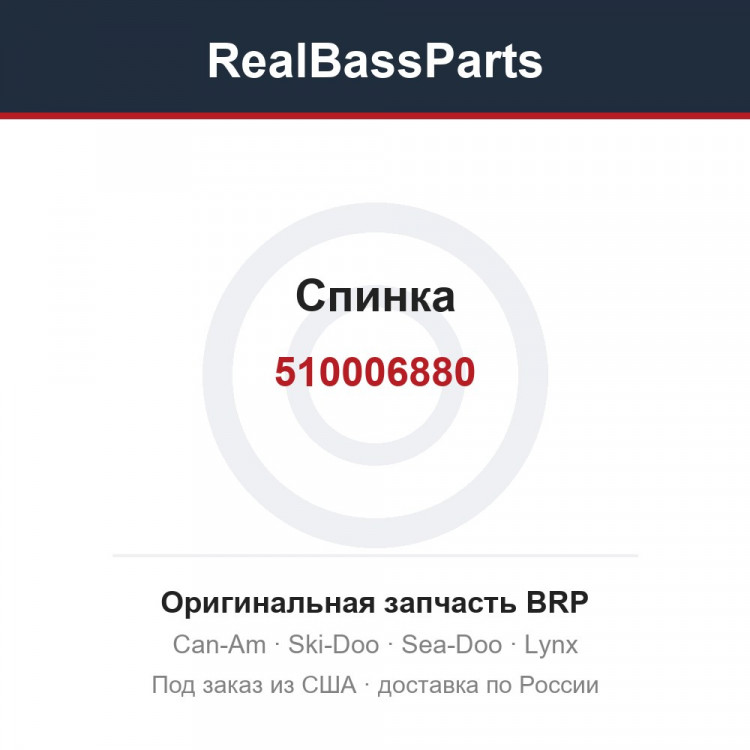 510006880 Спинка