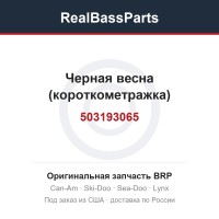 503193065 Черная весна (короткометражка)