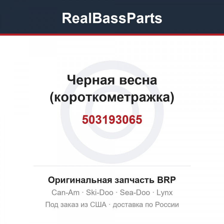 503193065 Черная весна (короткометражка)